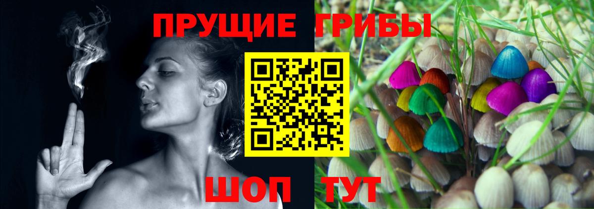 Новошахтинск  Псилоцибиновые грибы Psilocybine cubensis  Вход с VPN  Псилоцибиновые грибы мицелий 