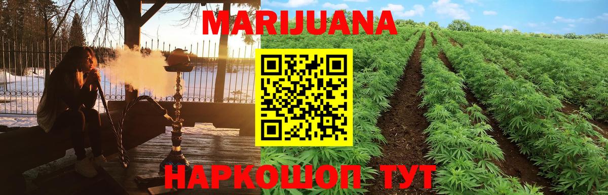 Каннабис план  Бошки марихуана гибрид  Бошки марихуана индика  Вход с VPN  Новошахтинск 